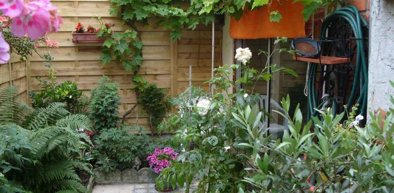 jardin en ville arbustes