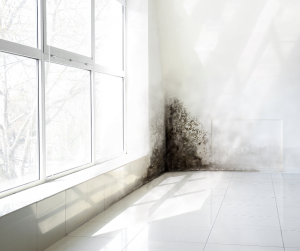 Traiter mur humide Libourne