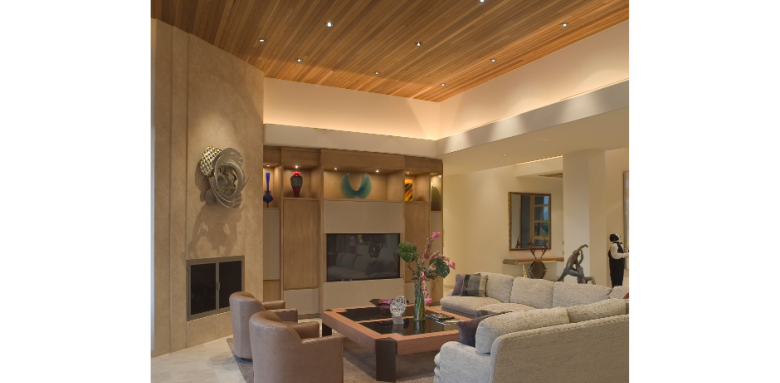 Salon avec un faux plafond en bois Lyon