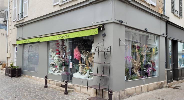 Rénovation de façade de devanture de boutique fleuriste - Brie-Comte-Robert 77170