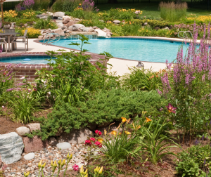 Créer un oasis dans son jardin à Montbrison (42 600)
