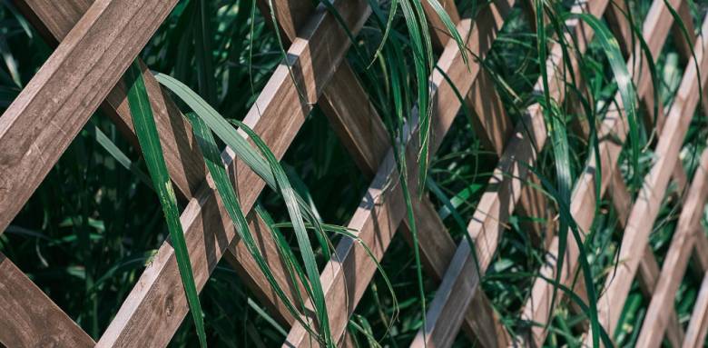 Palissade en bois