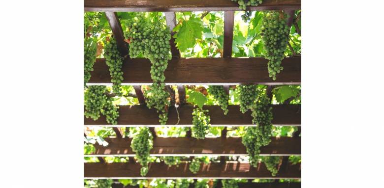 5 raisons d’installer une pergola – La Maison Des Travaux de Cherbourg