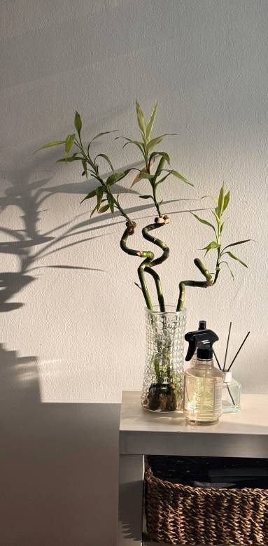 décoration feng shui