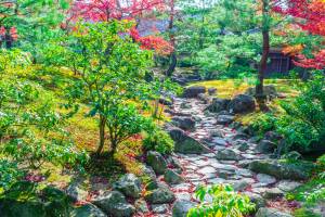 Jardin japonais aménagé - Nantes 44