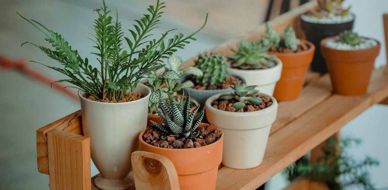 Créer un jardin d’hiver pourquoi pas 