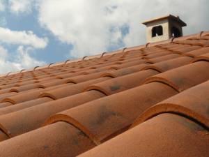 Mousse toiture à Beauvais 