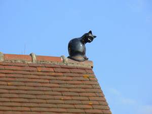 Chat de faîtage en céramique sur toiture tuilée