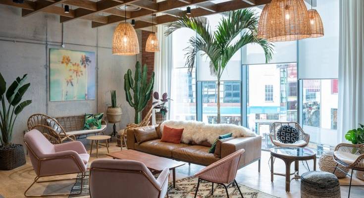 local professionnel chaleureux