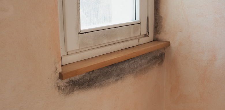 Humidité sur les murs sous les fenetres de la maison