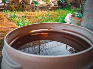 Récupérer l'eau de pluie pour l'arrosage