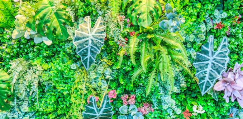 Créer son mur végétal extérieur La Maison Des Travaux Ales