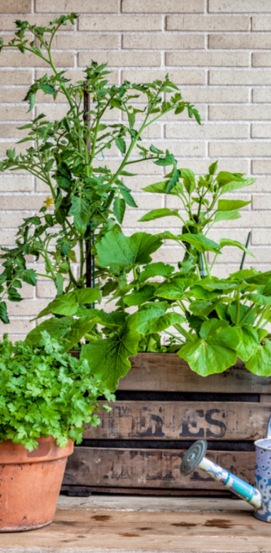 Aménager un balcon à Poissy