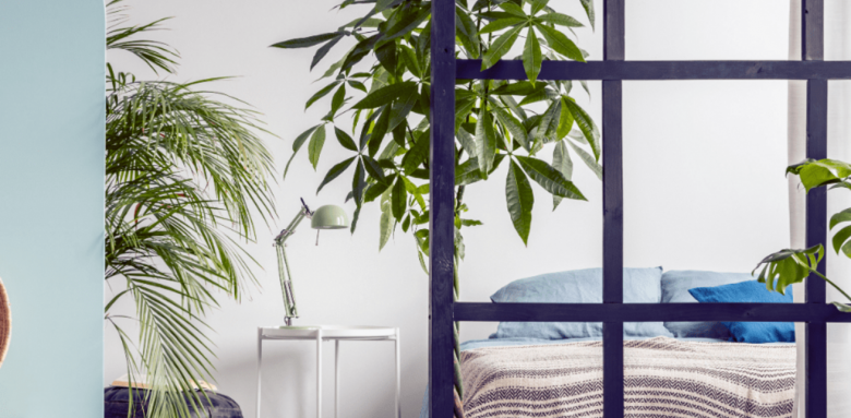 Verrière appartement Haguenau