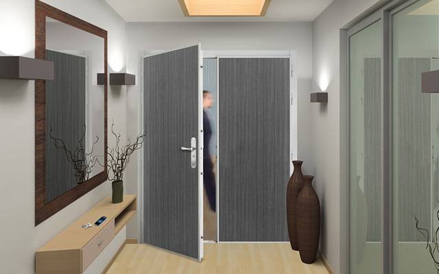 Bloc porte pour locaux professionnels
