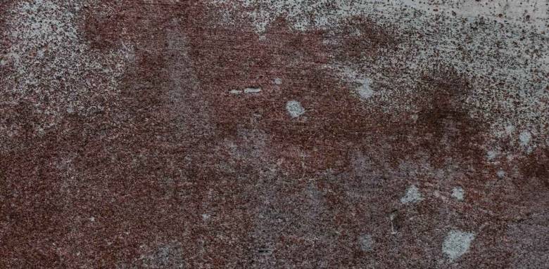 Le retour des sols rétro ! Sully 14400