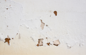 remontées capillaires la rochelle maison