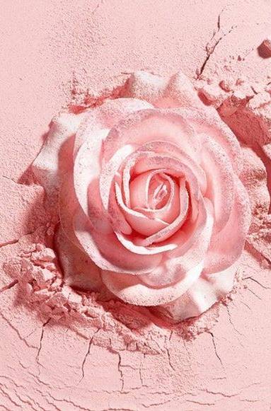 Coloris rose