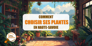plantes balcon Chamonix, aménagement végétal Megève, plantes résistantes hiver Haute-Savoie, plantes intérieures Sallanches, paysagiste La Clusaz, La Maison des Travaux Chamonix Mont-Blanc