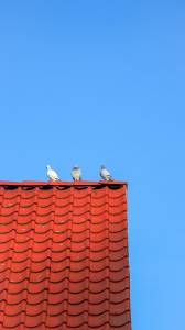 quand rénovation de toiture rime avec économie d'énergie