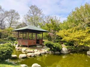 jardin japonais  toulouse