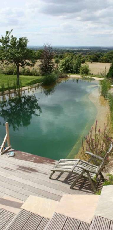 Piscine naturelle 4