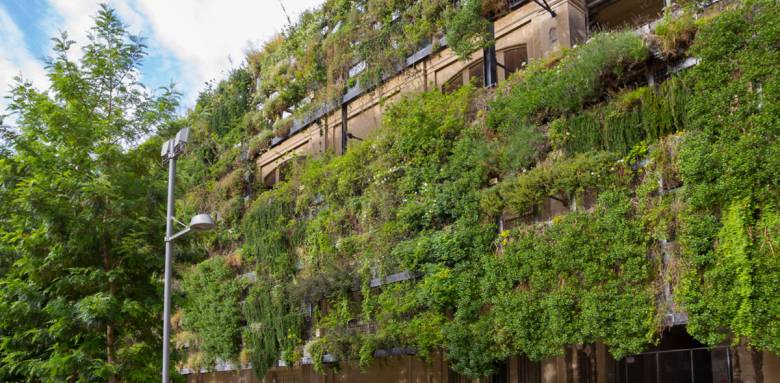 Mur végétal en extérieur