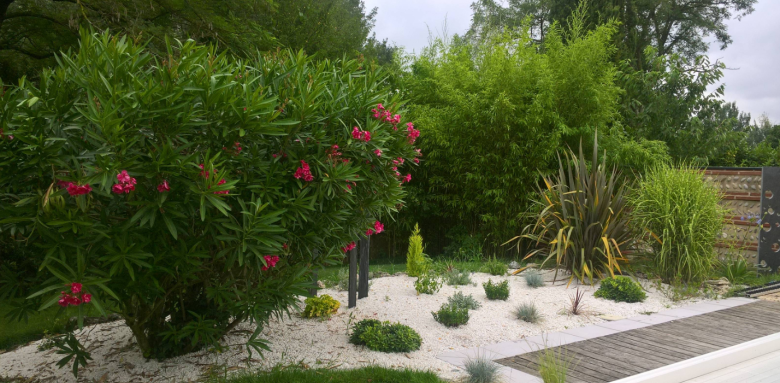 Créer son jardin japonais : tous nos conseils