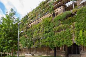 Mur végétal en extérieur