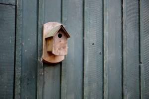 Focus sur la maison en bois par La Maison Des Travaux Nantes Ouest Saint Herblain