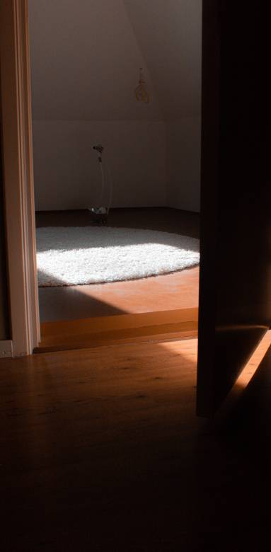 parquet, rénovation de sol