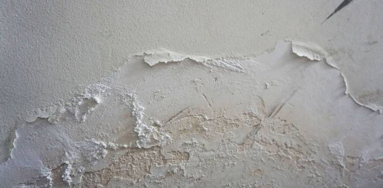 Rénovation de mur humide maison