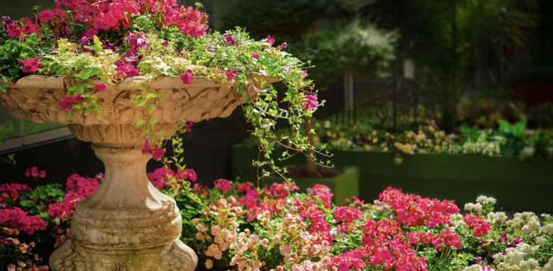 tendances-jardin-albi