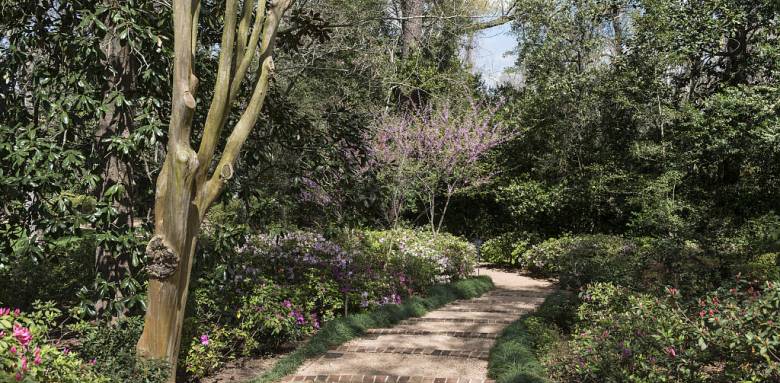 allée de jardin
