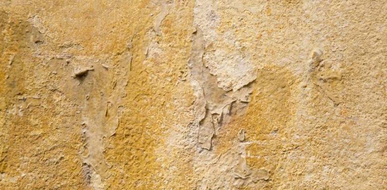 Mur à assecher La Maison des Travaux Rouen