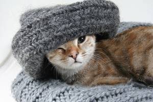 Une maison bien isolée, quel confort dans le Nord de la France !