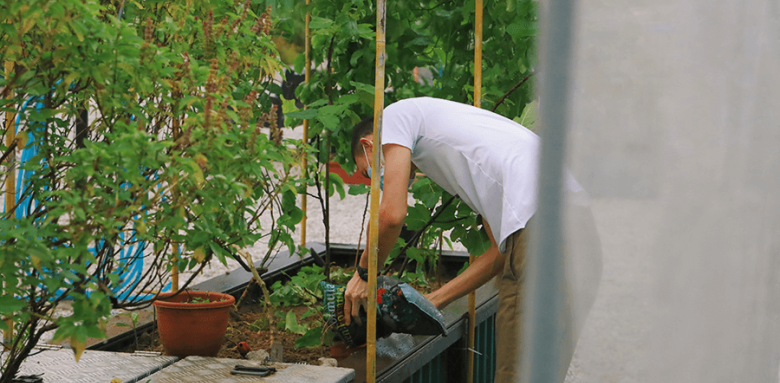 Comment mettre au vert son balcon ?
