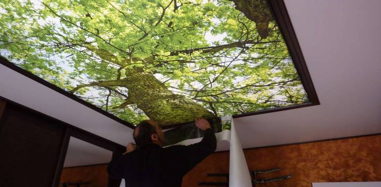 Plafond tendu rétro éclairage décor forêt