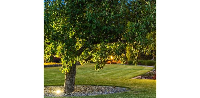 Comment créer des zones d’ombre efficaces dans un jardin ? Campagnolles 14500
