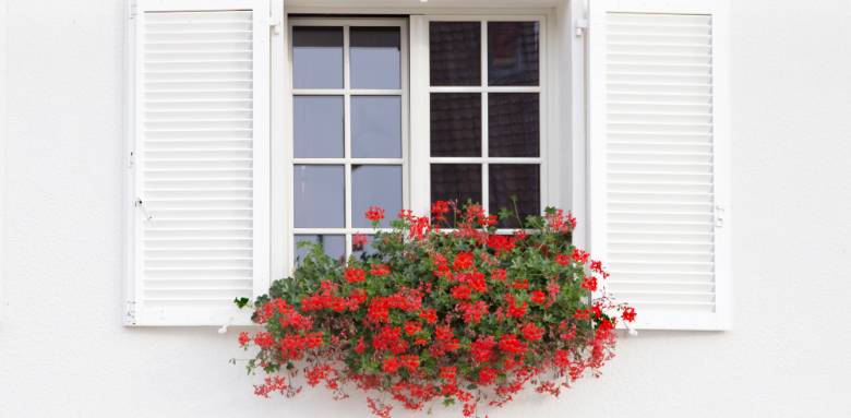 Remplacement de fenêtre