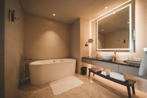 separer-toilette-salle-de-bain-albi