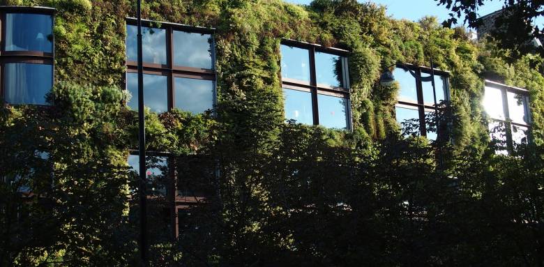 créer mur vegetal exterieur, mur vegetal exterieur tendance, mur vegetal exterieur idee, tarif mur vegetal exterieur, amenager mur vegetal exterieur, creation mur vegetal naturel, creation mur vegetal artificiel