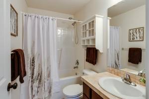Pourquoi vous devriez séparer vos toilettes et salle de bain