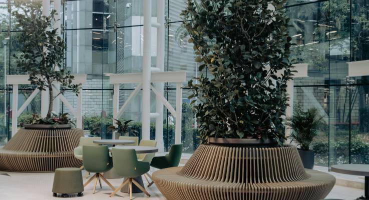 Nouvelles tendances : l’agencement écoresponsable des espaces professionnels