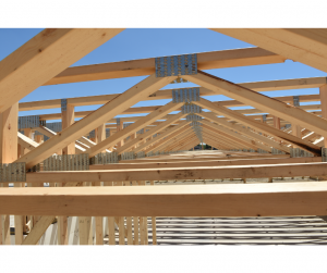 Diagnostic charpente à Haguenau