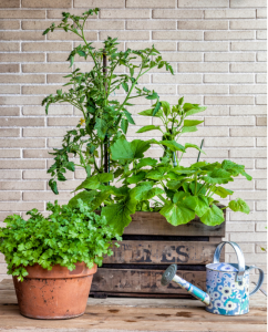 Aménager un balcon à Poissy
