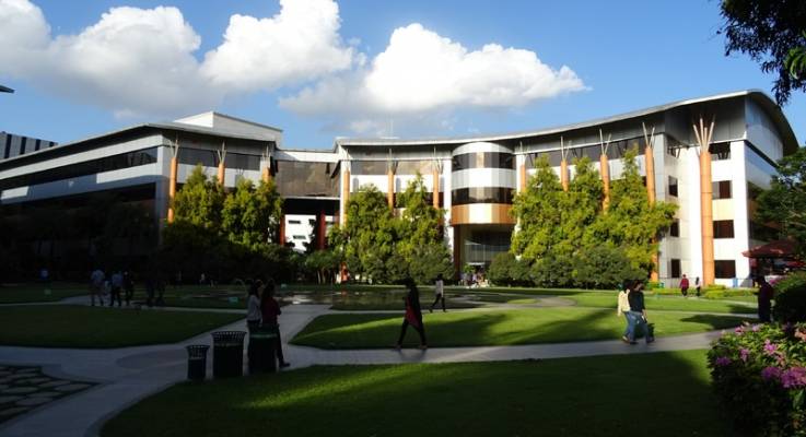 Aménagements paysagers d'entreprise