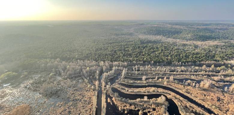 La forêt de Fontainebleau comme vous ne l'avez jamais vue