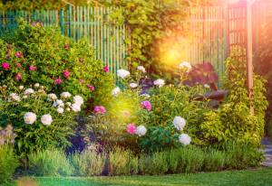 Rénovation de jardin