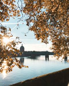 Comment optimiser l'espace dans un appartement toulousain de centre-ville ?